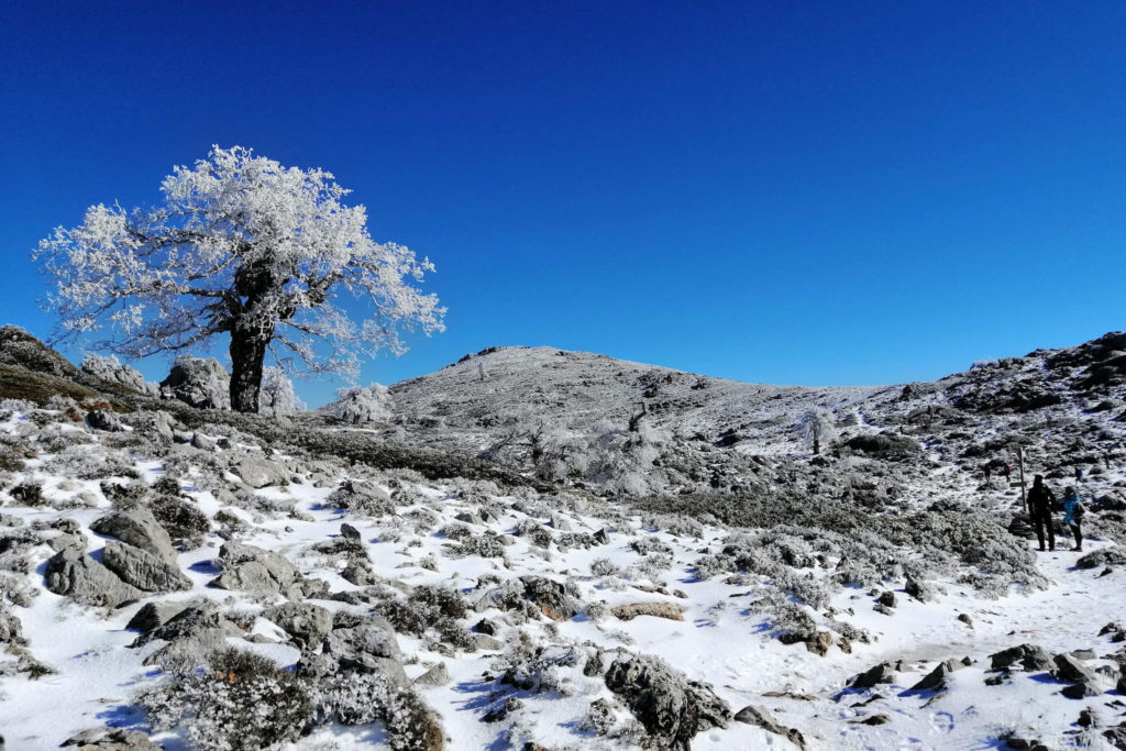 TALVEN TUNNELMAAN – Sierra de las Nievesin kansallispuistossa